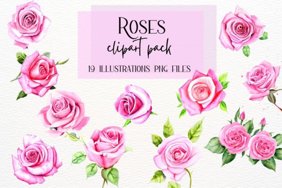 Watercolor Roses: Elegant Illustrations for Your Projects
